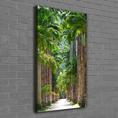 Picture canvas print Palm trees