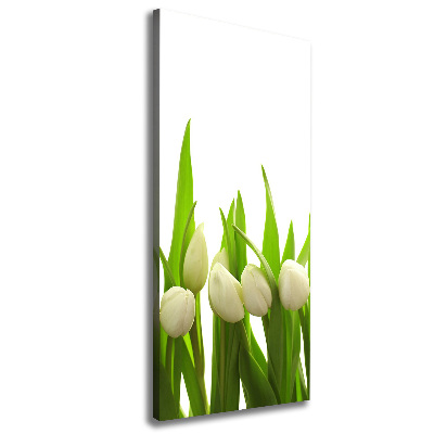 Wall art canvas large White tulips