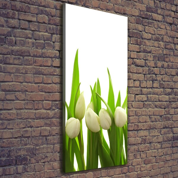 Wall art canvas large White tulips