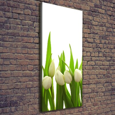 Wall art canvas large White tulips