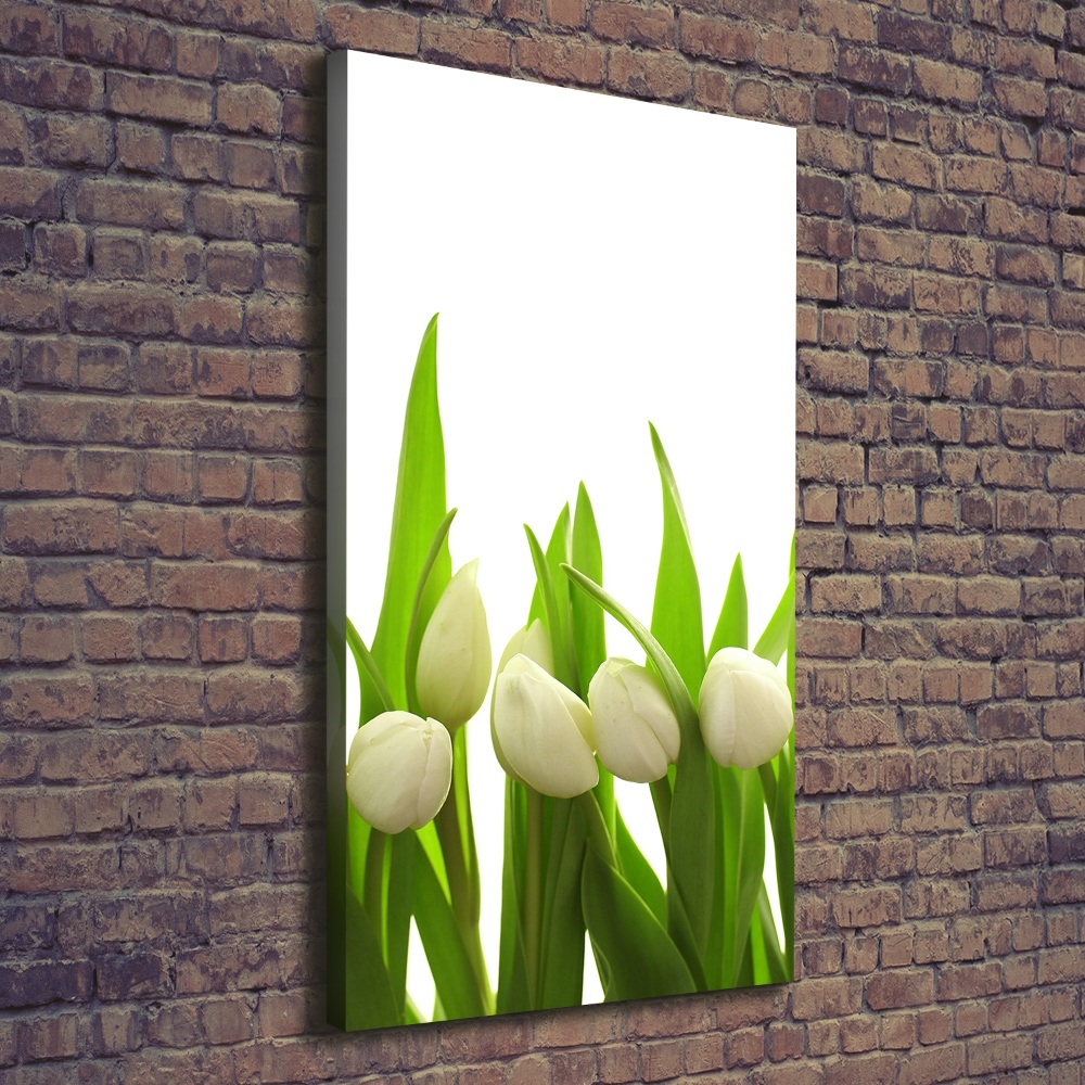 Wall art canvas large White tulips