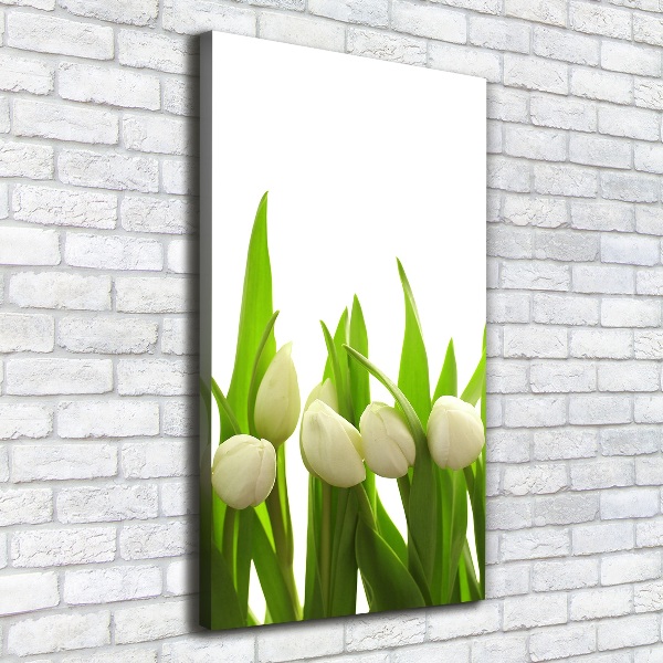 Wall art canvas large White tulips