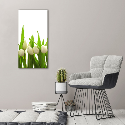 Wall art canvas large White tulips