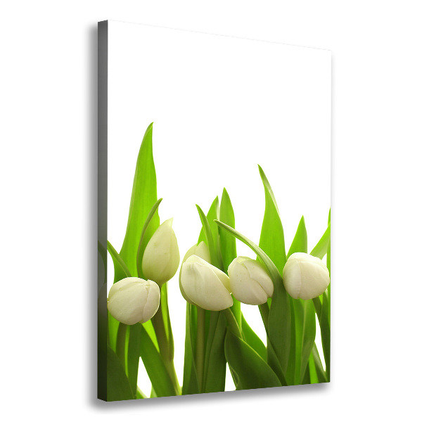 Wall art canvas large White tulips