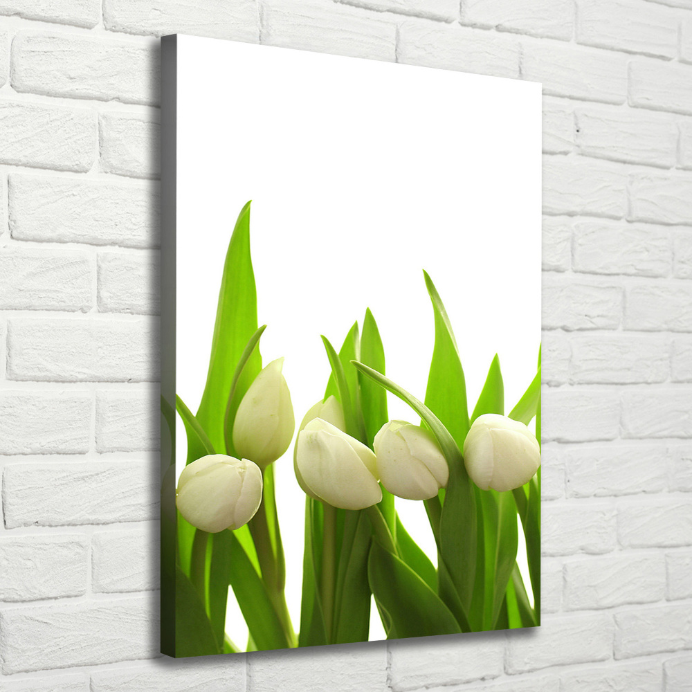 Wall art canvas large White tulips