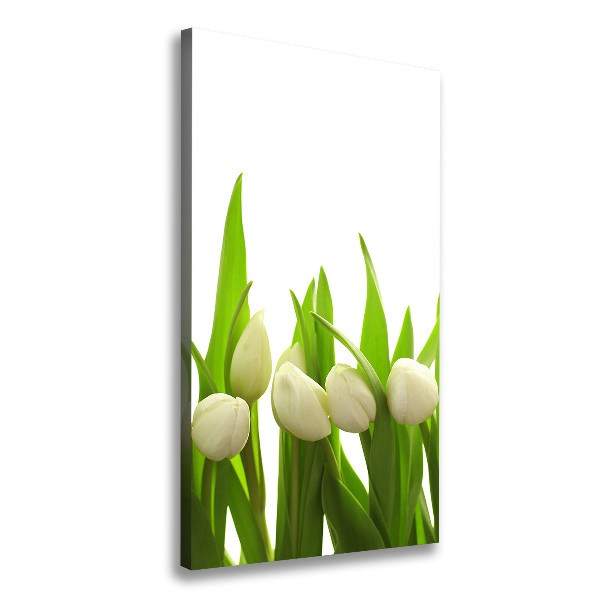 Wall art canvas large White tulips