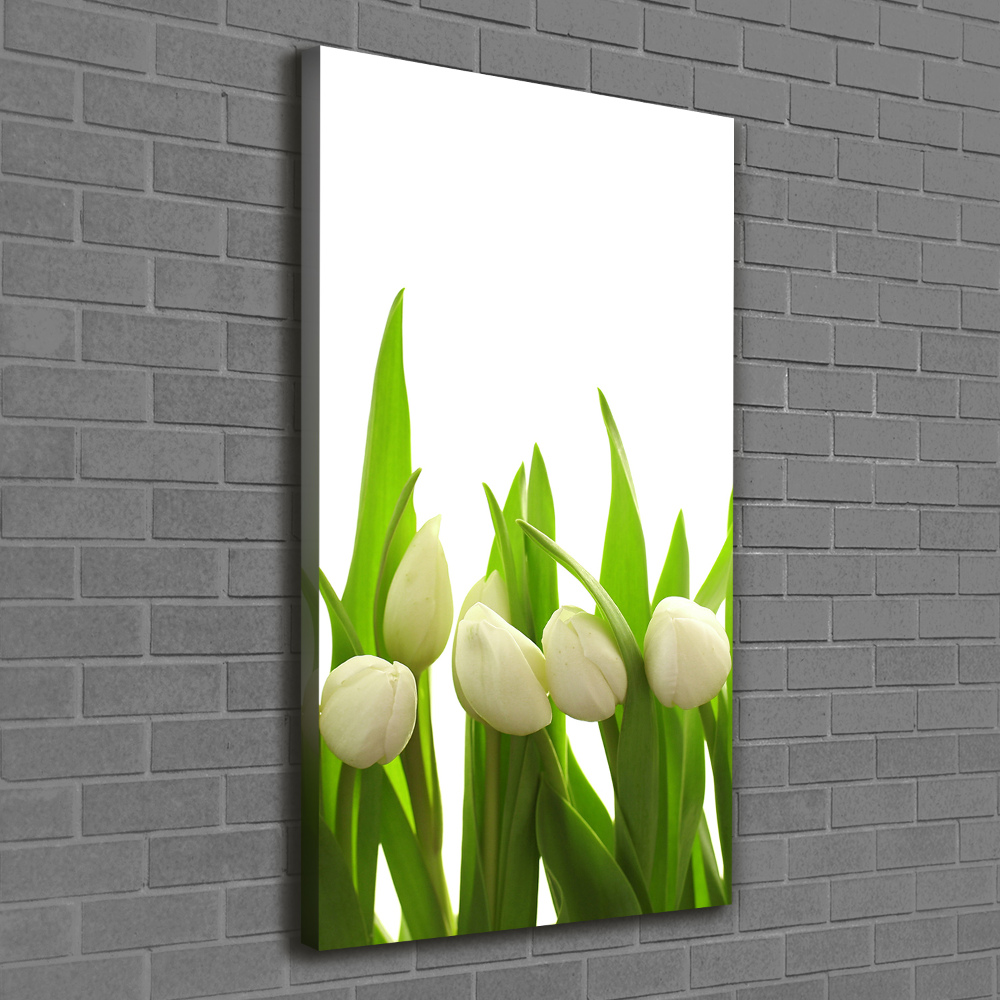 Wall art canvas large White tulips