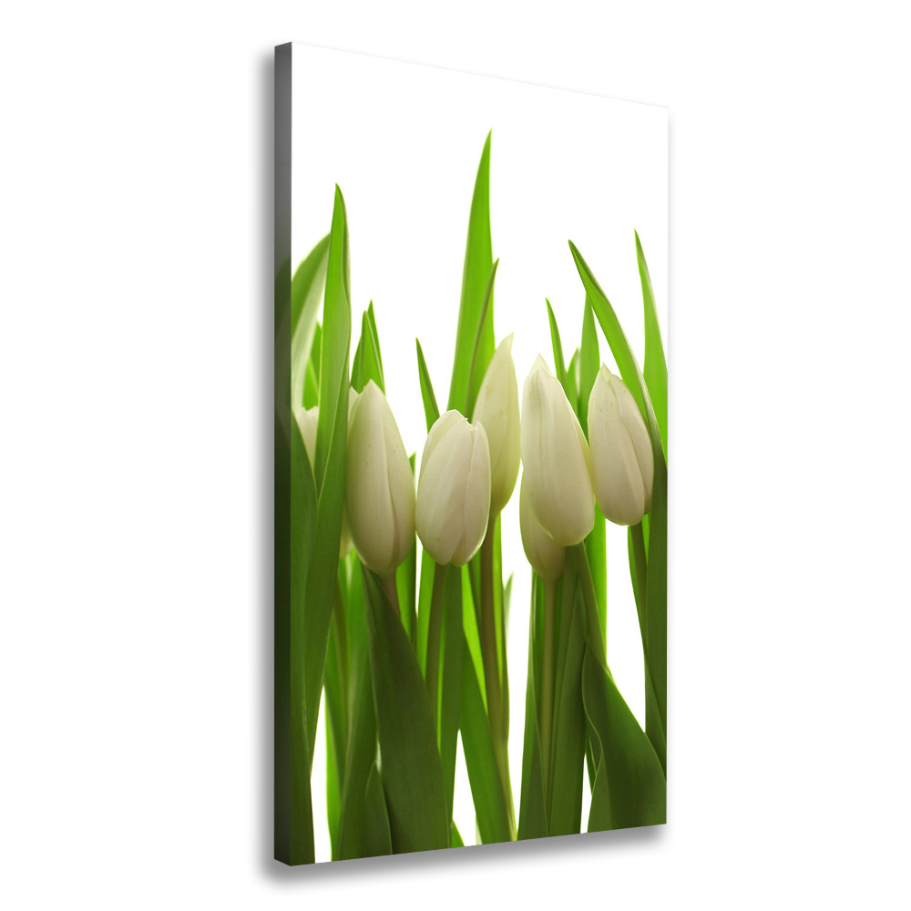 Large canvas wall art White tulips