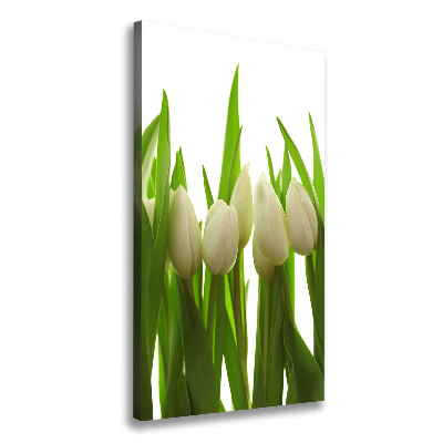 Large canvas wall art White tulips