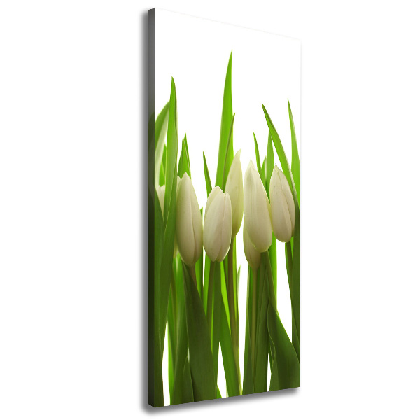 Large canvas wall art White tulips