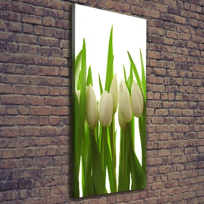 Large canvas wall art White tulips