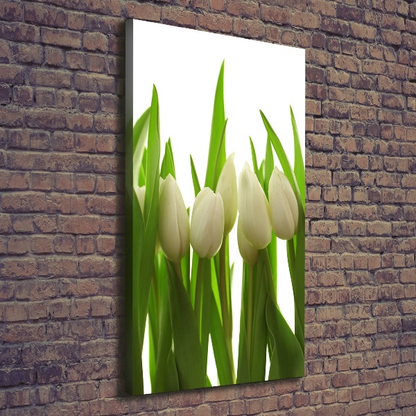 Large canvas wall art White tulips