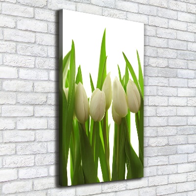 Large canvas wall art White tulips