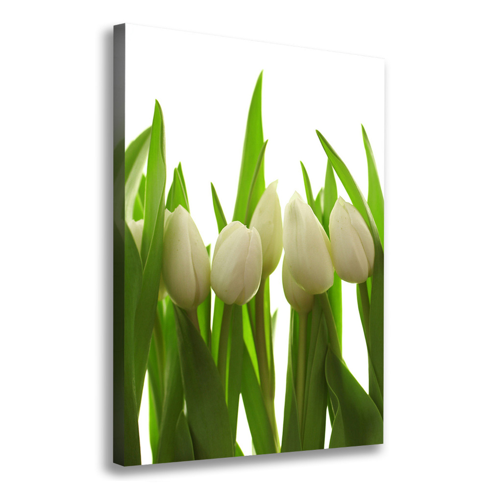 Large canvas wall art White tulips