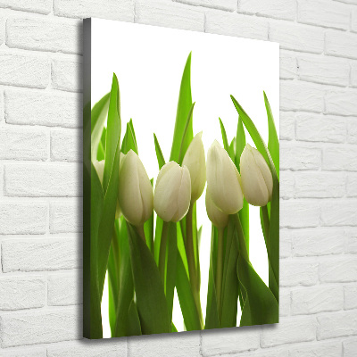 Large canvas wall art White tulips