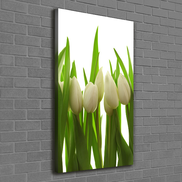 Large canvas wall art White tulips