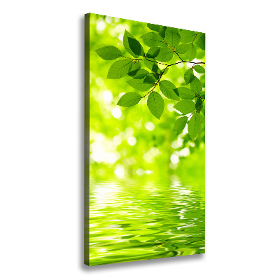 Large canvas wall art Green leaves