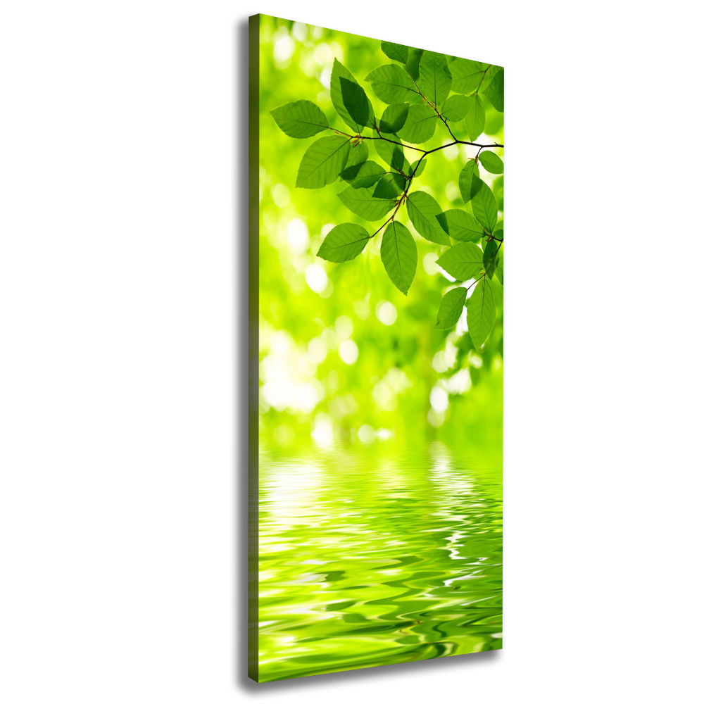 Large canvas wall art Green leaves