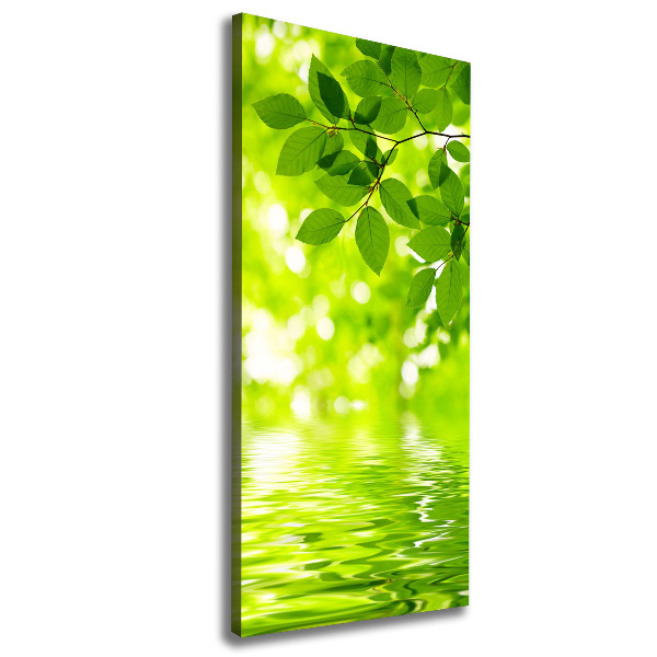 Large canvas wall art Green leaves