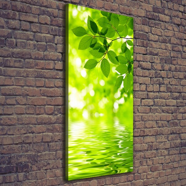 Large canvas wall art Green leaves