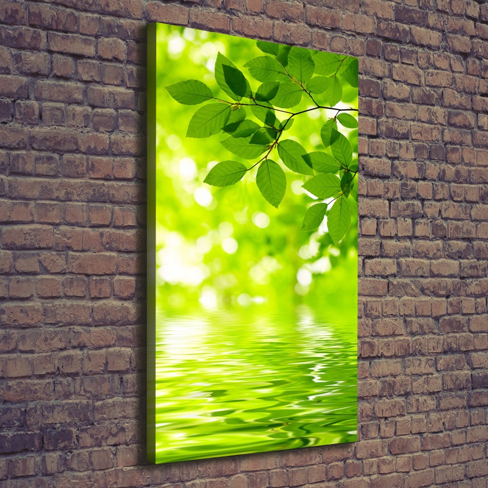 Large canvas wall art Green leaves