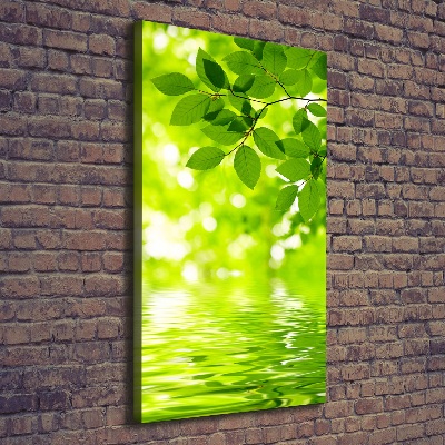 Large canvas wall art Green leaves