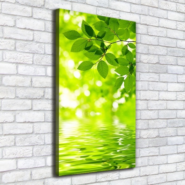 Large canvas wall art Green leaves