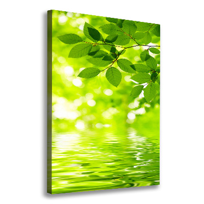 Large canvas wall art Green leaves