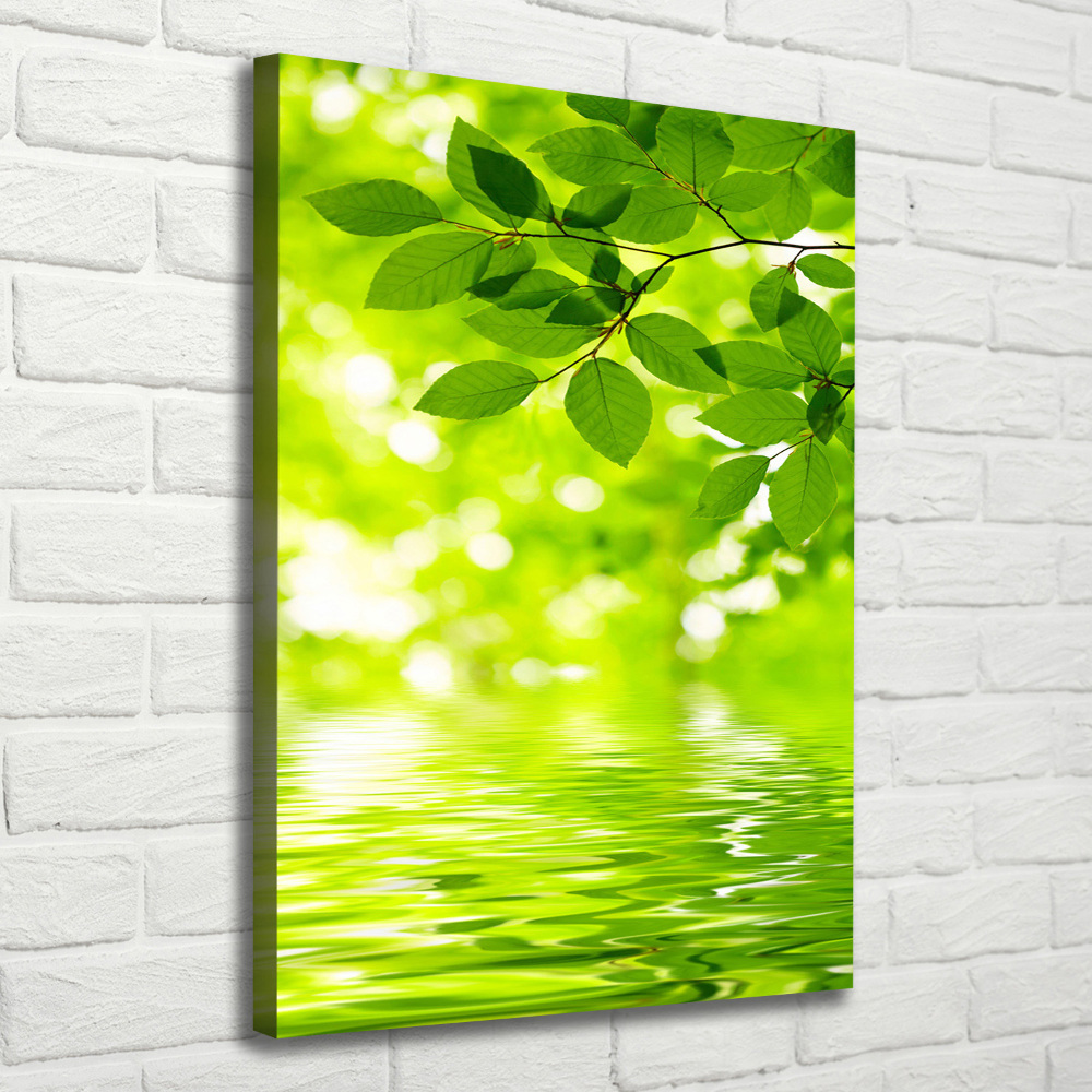 Large canvas wall art Green leaves