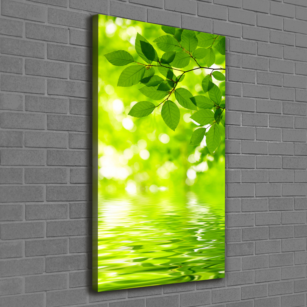 Large canvas wall art Green leaves