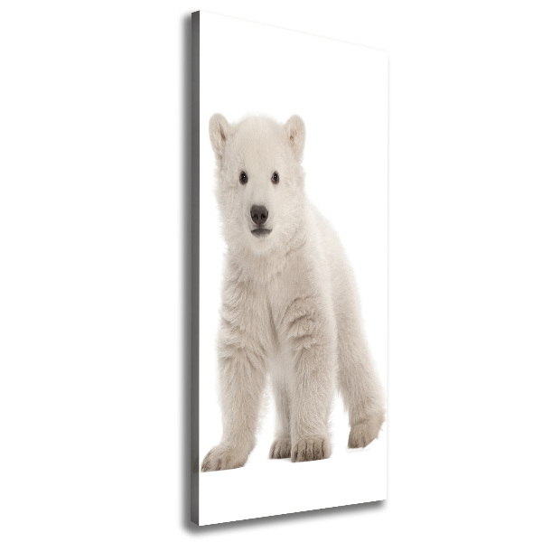 Canvas wall art A polar bear