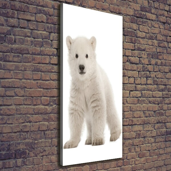 Canvas wall art A polar bear