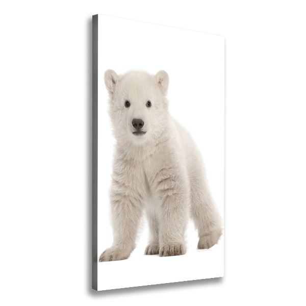 Canvas wall art A polar bear