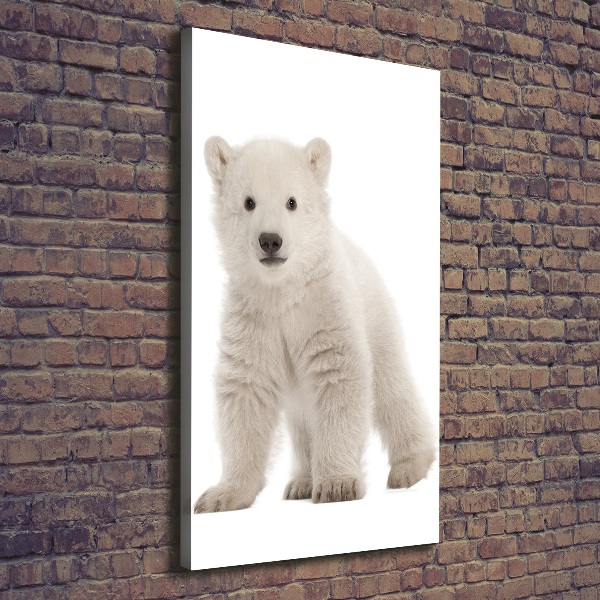 Canvas wall art A polar bear