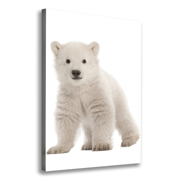 Canvas wall art A polar bear