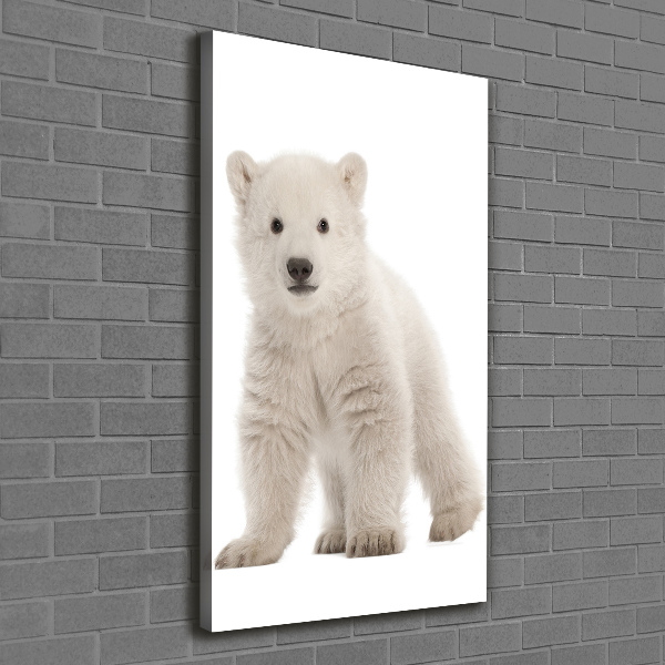 Canvas wall art A polar bear