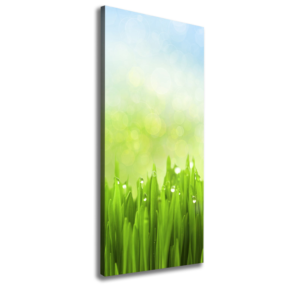 Wall art canvas large Grass