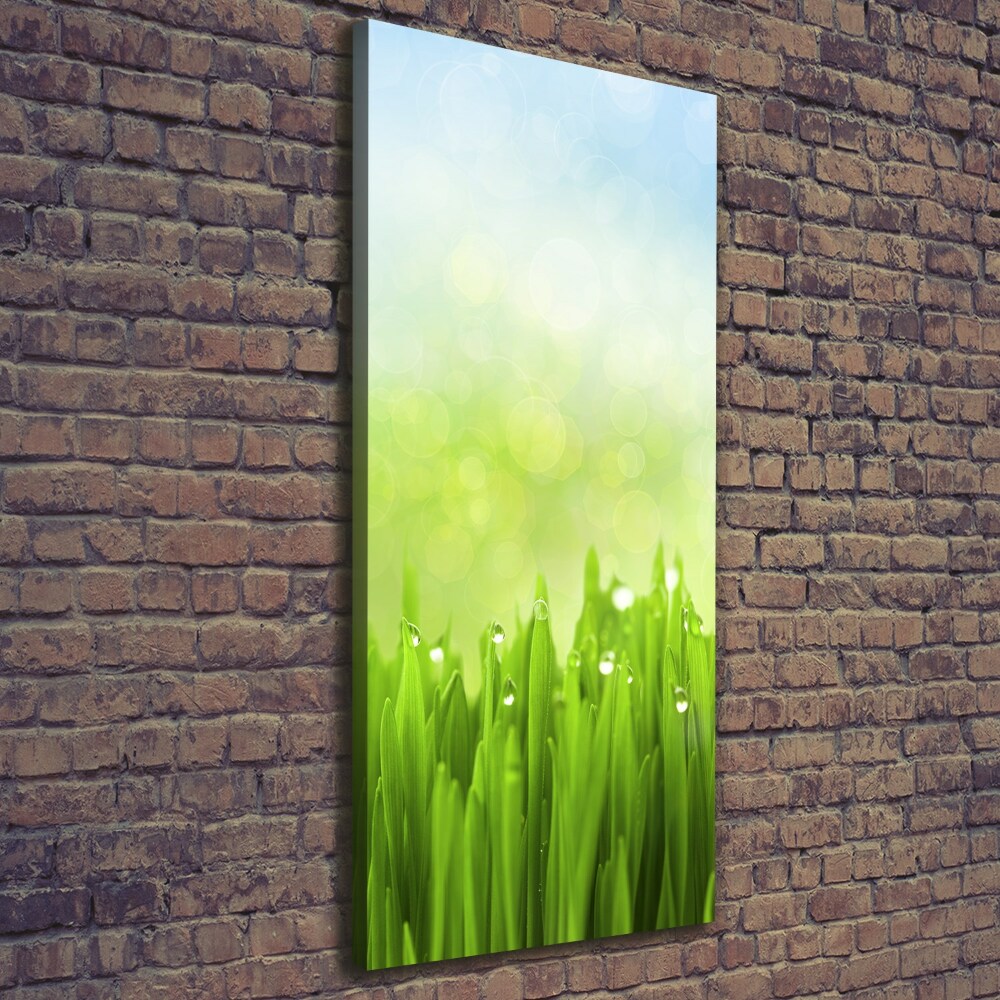 Wall art canvas large Grass