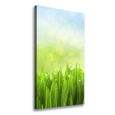 Wall art canvas large Grass