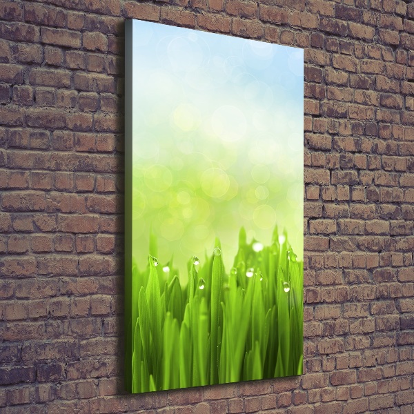 Wall art canvas large Grass