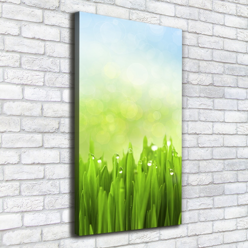 Wall art canvas large Grass