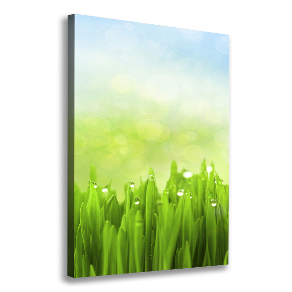 Wall art canvas large Grass