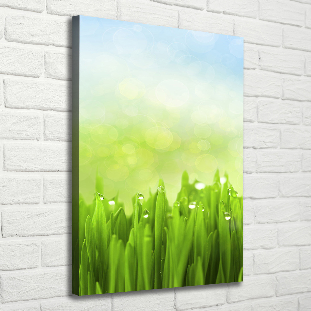 Wall art canvas large Grass