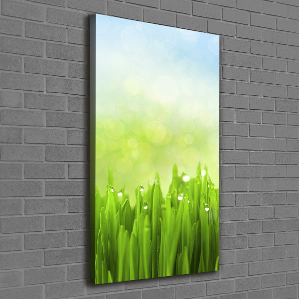 Wall art canvas large Grass