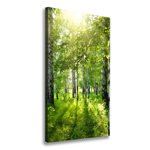 Wall art canvas Birch forest