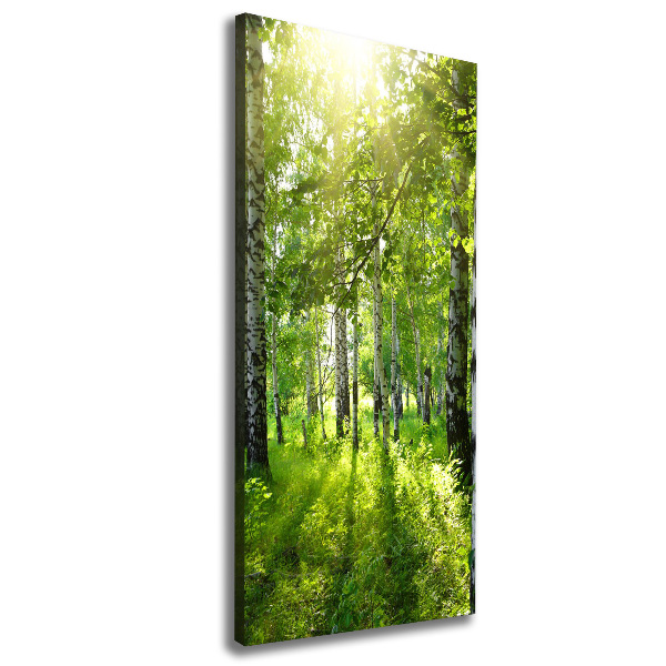 Wall art canvas Birch forest