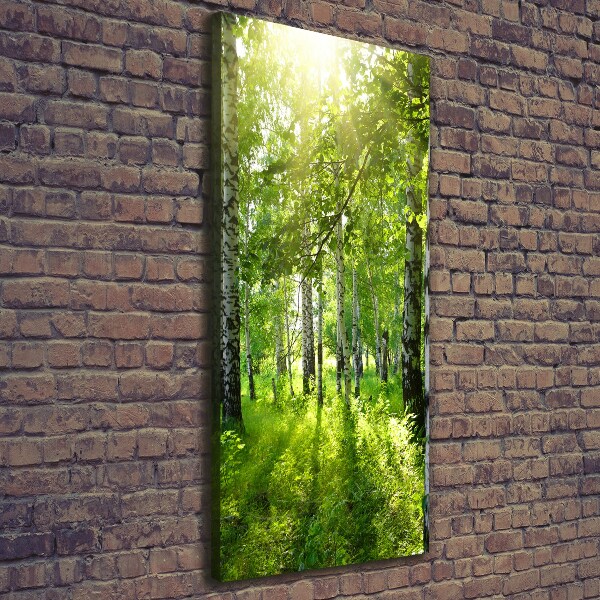 Wall art canvas Birch forest