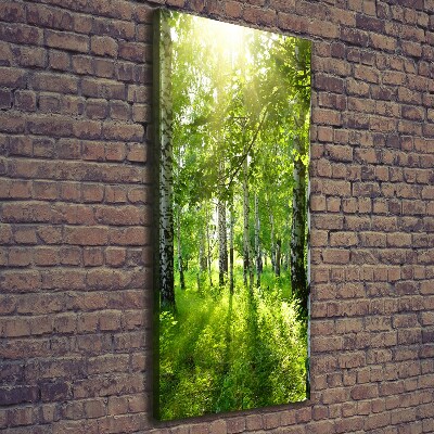 Wall art canvas Birch forest