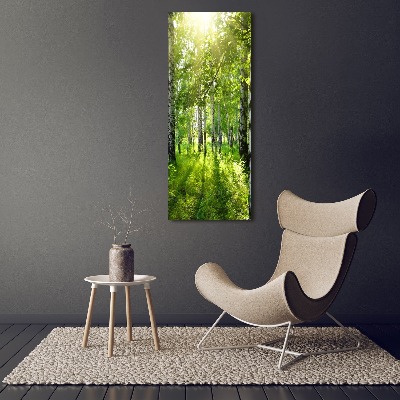 Wall art canvas Birch forest