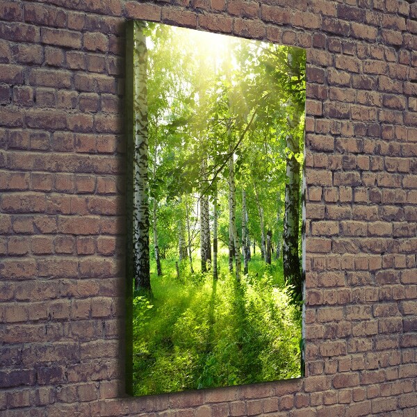 Wall art canvas Birch forest